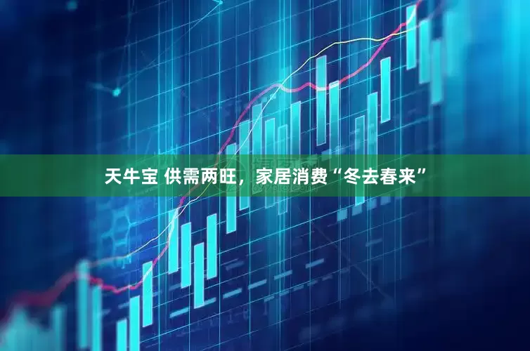 天牛宝 供需两旺，家居消费“冬去春来”