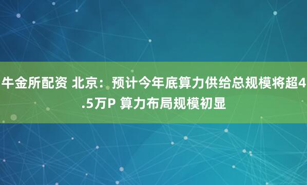 牛金所配资 北京：预计今年底算力供给总规模将超4.5万P 算力布局规模初显