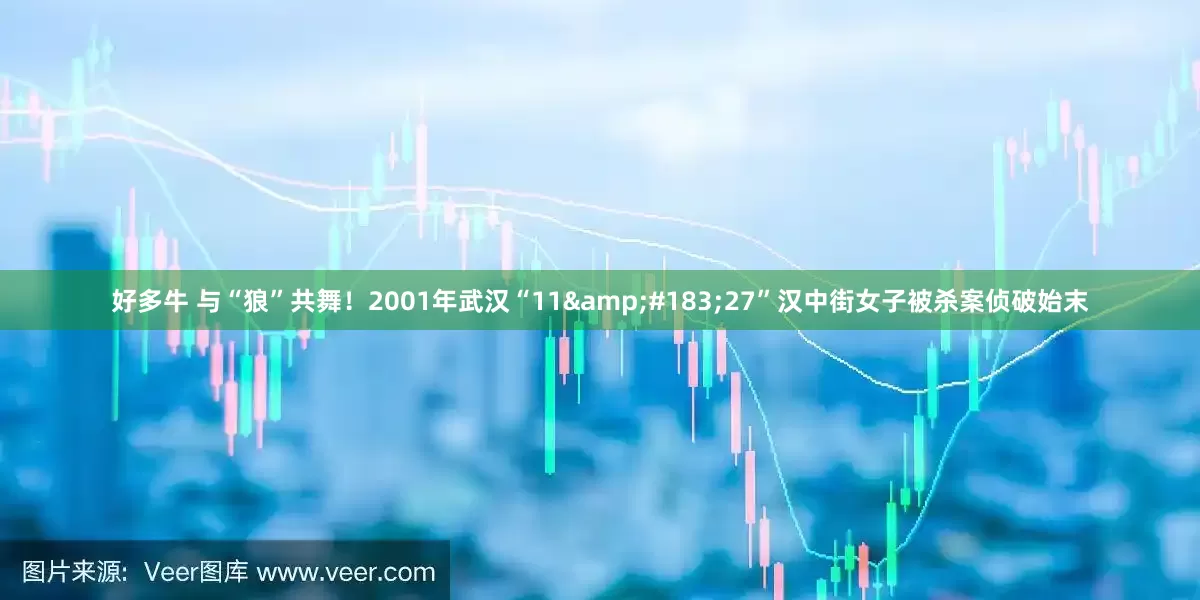 好多牛 与“狼”共舞！2001年武汉“11&#183;27”汉中街女子被杀案侦破始末