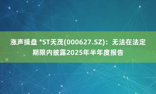 涨声操盘 *ST天茂(000627.SZ)：无法在法定期限内披露2025年半年度报告